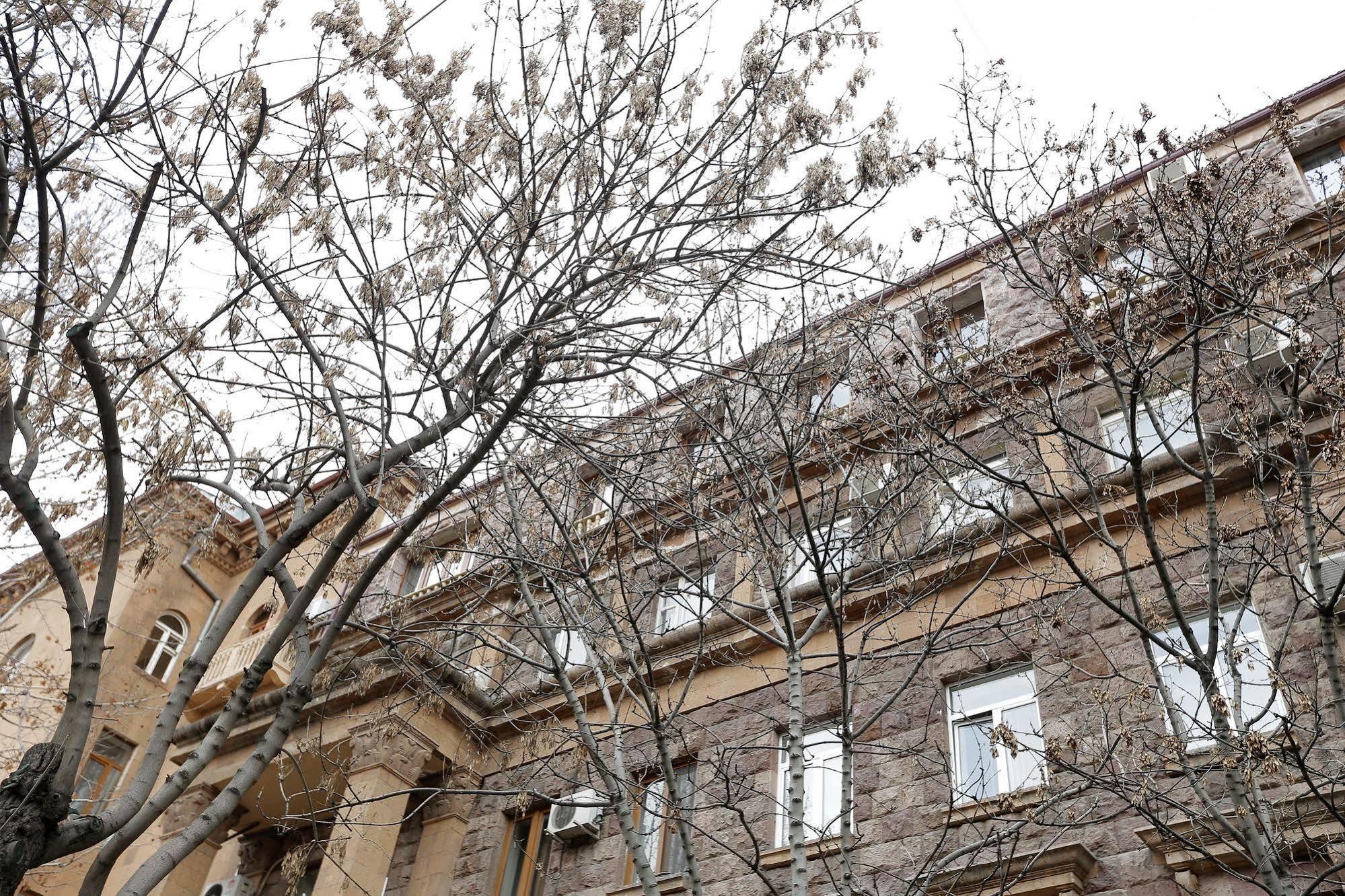 Grammy Apartments City Center Yerevan Exterior foto