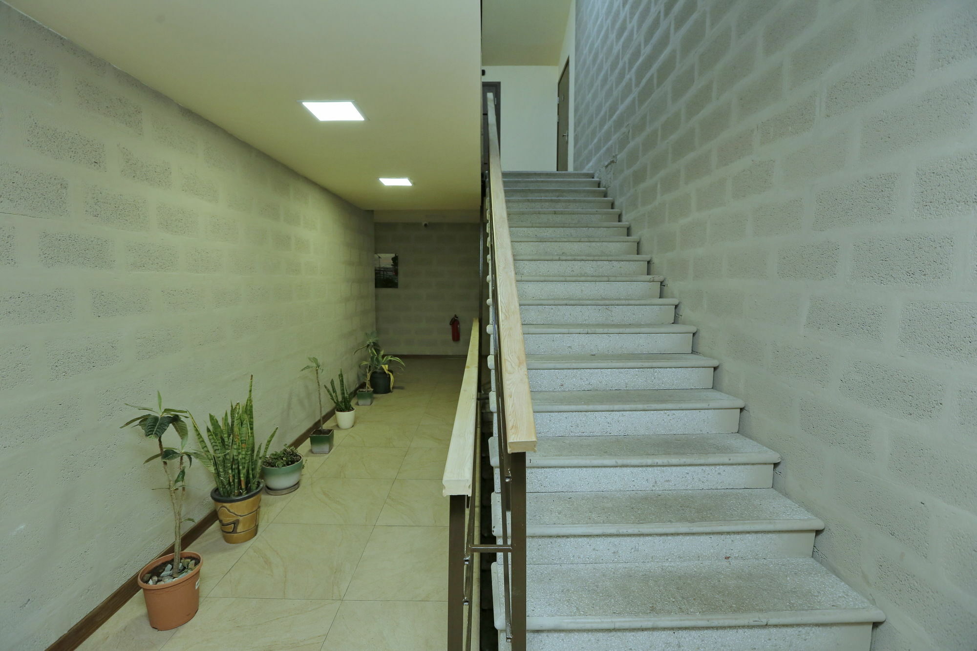 Grammy Apartments City Center Yerevan Exterior foto